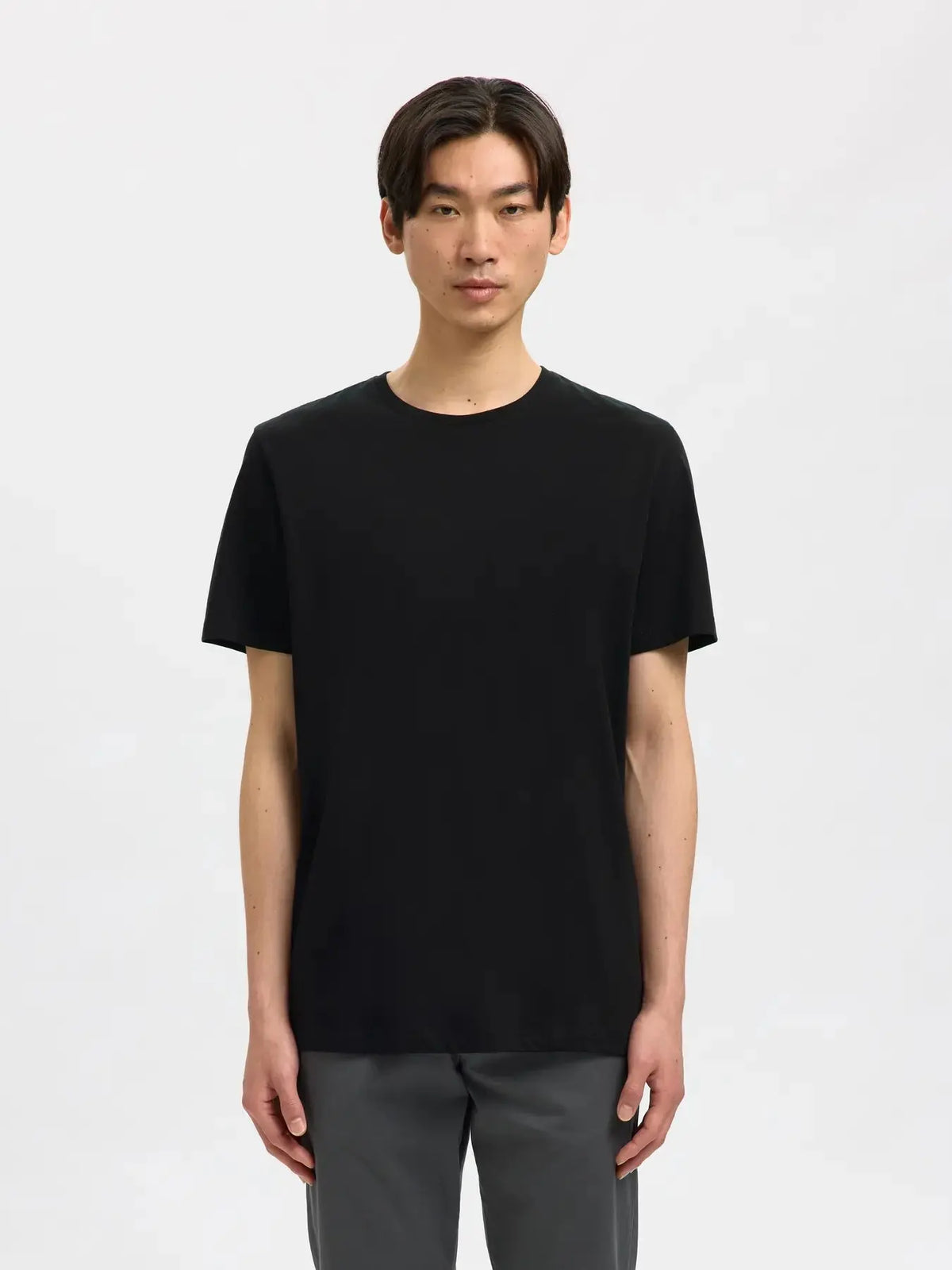 Aspen Regular T-Skjorte - Black Selected Homme