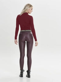 Ava Pologenser - Cabernet JDY