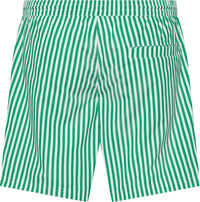 CK Stripet Badeshorts - Penny Stripe/Mardi Gras Green Calvin Klein