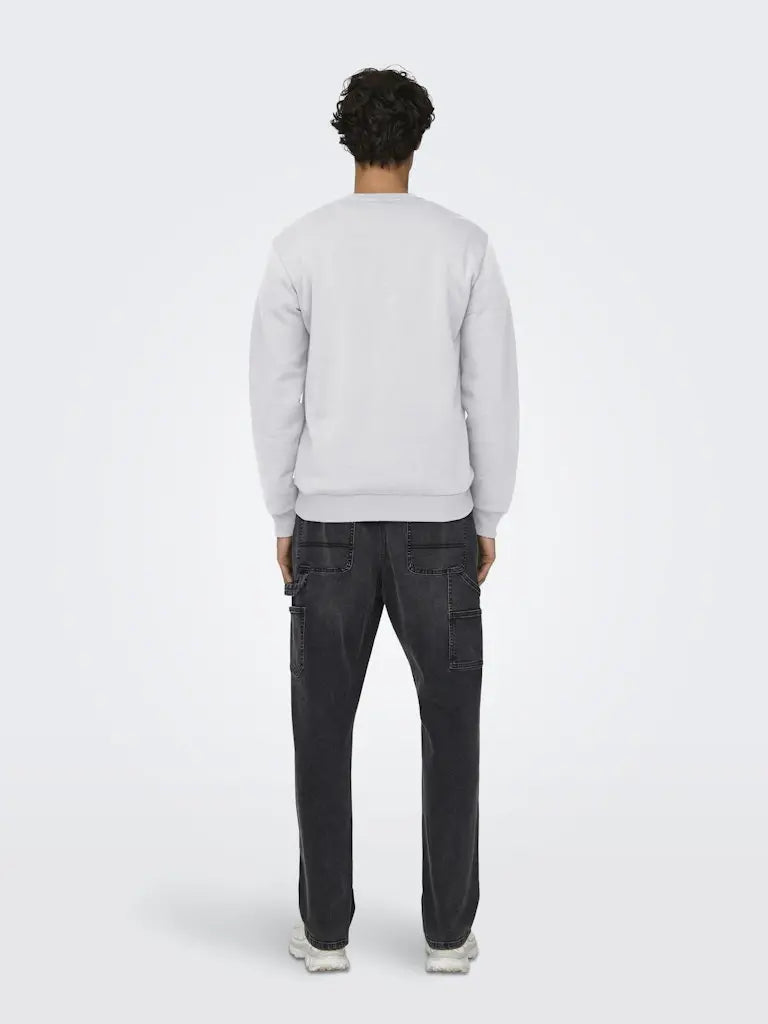 Ceres Genser Rund Hals - Super Light Grey Melange Only & Sons