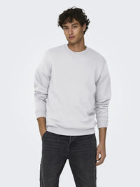 Ceres Genser Rund Hals - Super Light Grey Melange Only & Sons