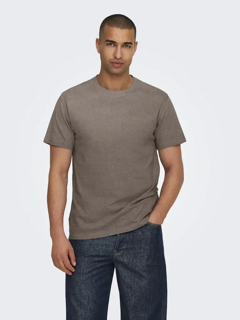 Max Regular T-Skjorte - Falcon Melange Only & Sons