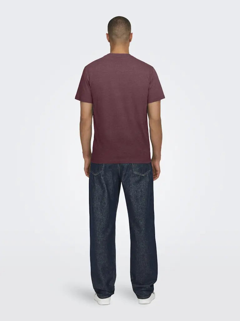 Max Regular T-Skjorte - Port Royale Melange Only & Sons