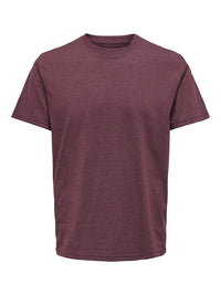 Max Regular T-Skjorte - Port Royale Melange Only & Sons