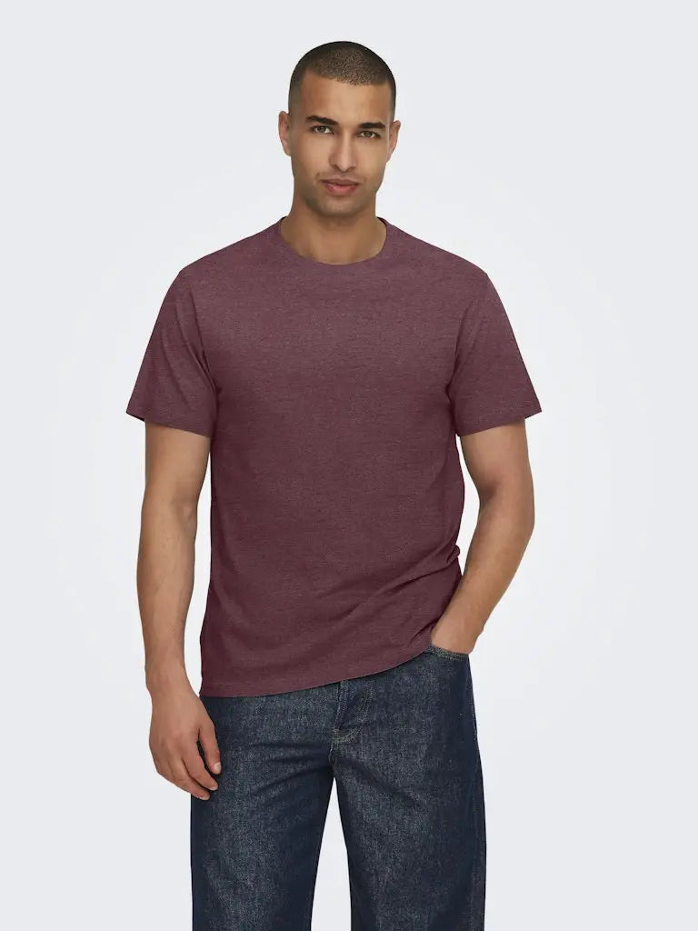 Max Regular T-Skjorte - Port Royale Melange Only & Sons