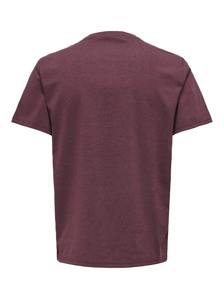 Max Regular T-Skjorte - Port Royale Melange Only & Sons