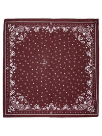 Skjerf Paisley klassisk 144748 - Vinrødt TBS